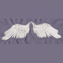 Angel Wings 4x4-5x7