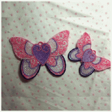 A Butterfly With Heart FSL