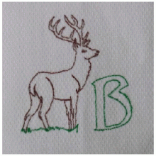 Deer Alphabet