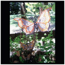 Delightful Butterfly FSL All 3 Sizes 05