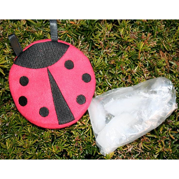 Ladybug BooBoo Icy ITH